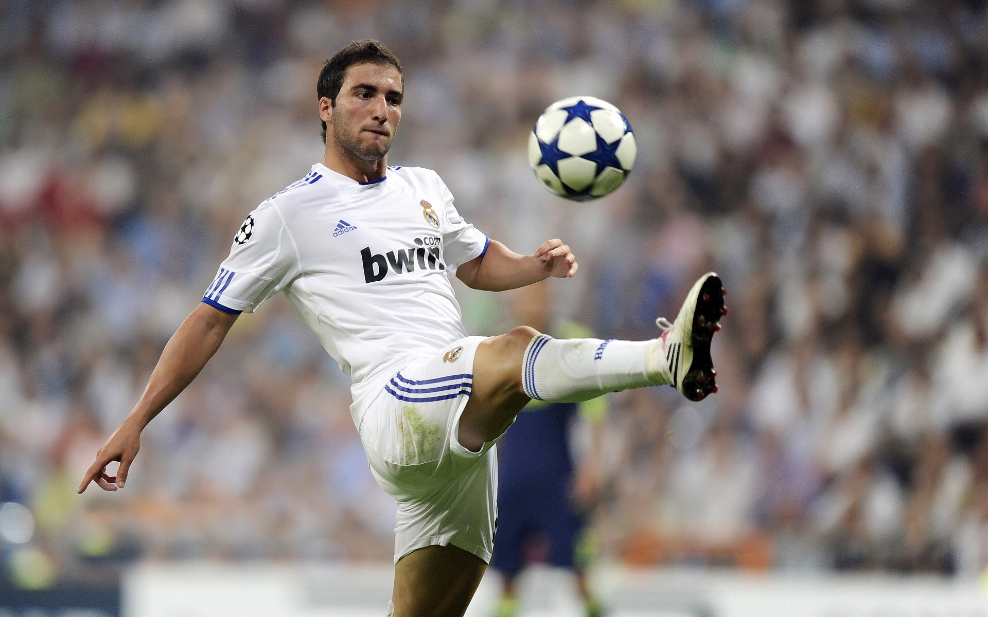 九游体育直播-绿茵场上的东方寓言，当浙江队末节带走欧冠淘汰赛的公牛